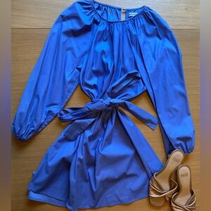 Reformation Puff Sleeve Mini Dress in near mint condition